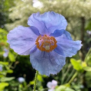 Hello! 🙋🏻‍♀️